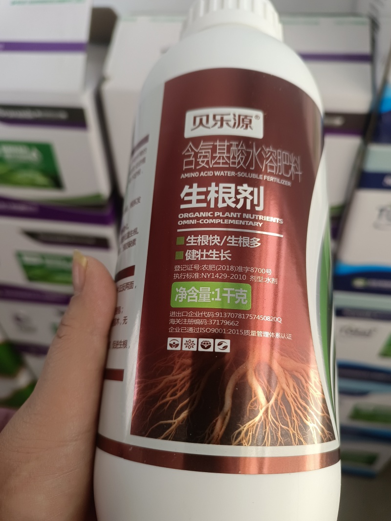 生根剂生根液促根壮苗养根护苗果树蔬菜花卉中药材