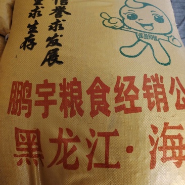 芽豆，那芽长得老长，芽儿冒得旺实