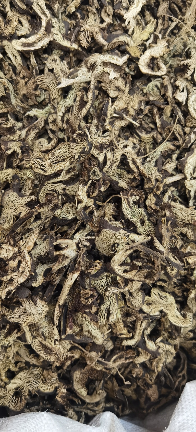 升麻批发新货升麻规格齐全可供实体店批发量大价优