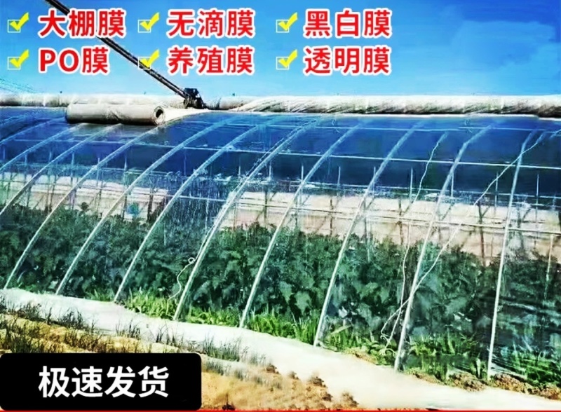透光度好高品质大棚膜po大棚膜支持一件代发工厂