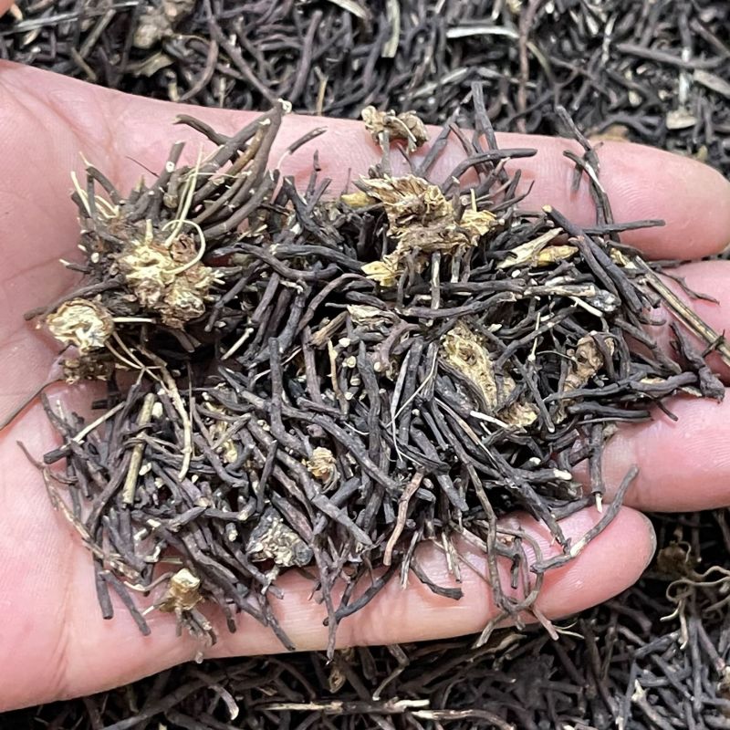 威灵仙批发威灵仙规格齐全可供大货量大价优