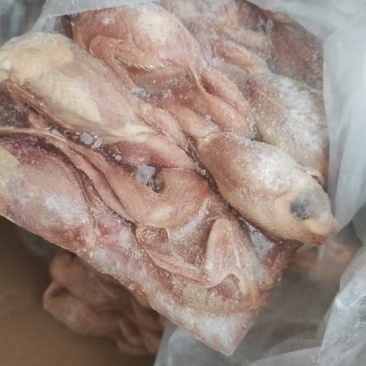 鹌鹑