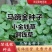 马蹄金种子草籽草坪种子小金钱草铜钱草种子易种常青耐高温