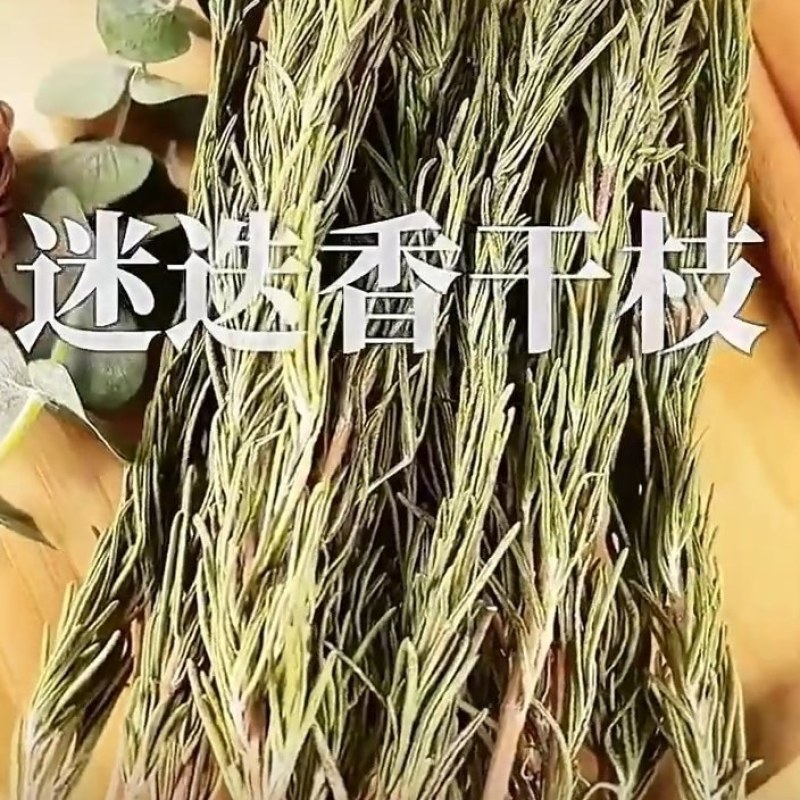 迷迭香干支基地直发一手货源保质保量