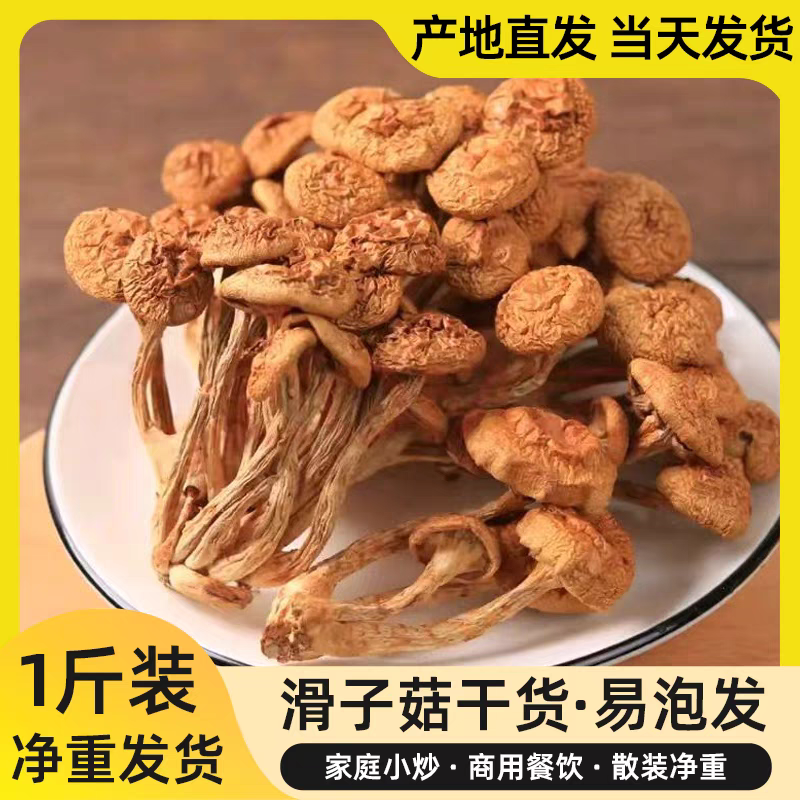 干滑子菇剪根