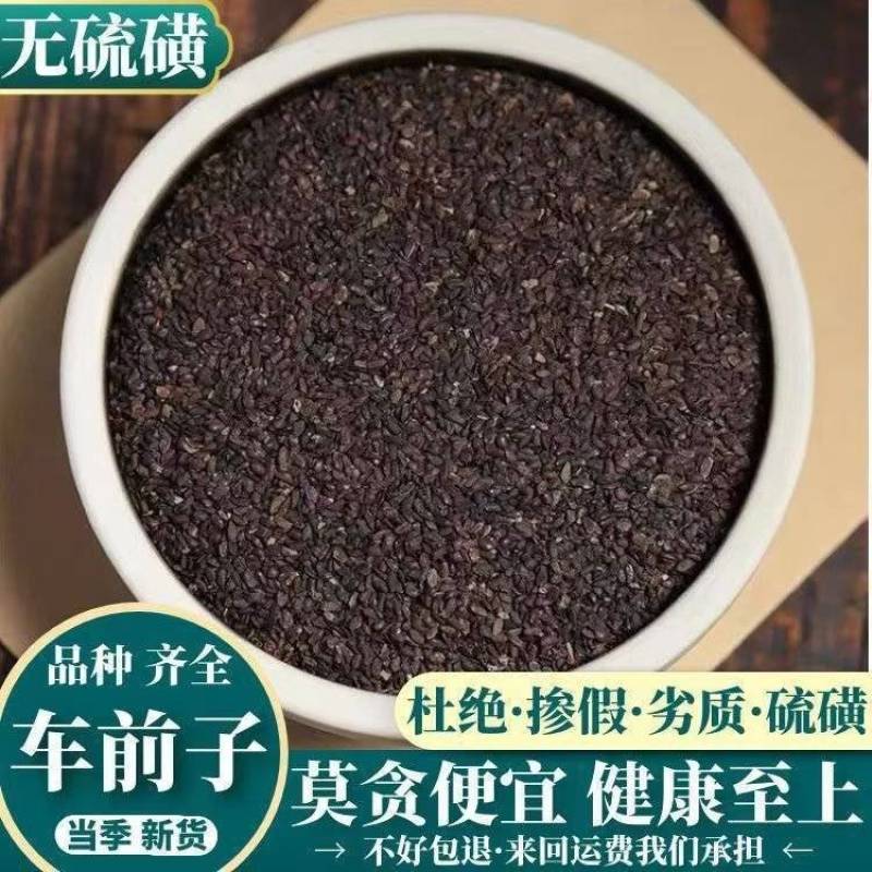 车前子批发车前子干净无杂质可供批发量大价优