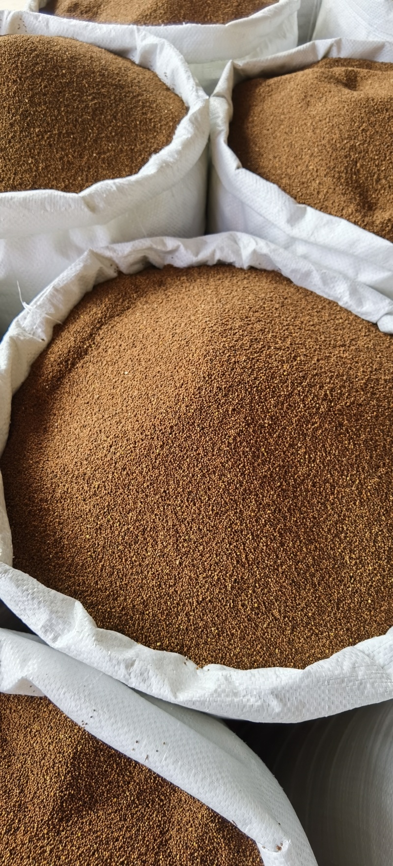 菟丝子批发菟丝子规格齐全产地货源量大价优