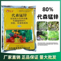 代森锰锌80%早疫病炭疽病叶斑病炭疽病疮痂病斑点落叶病