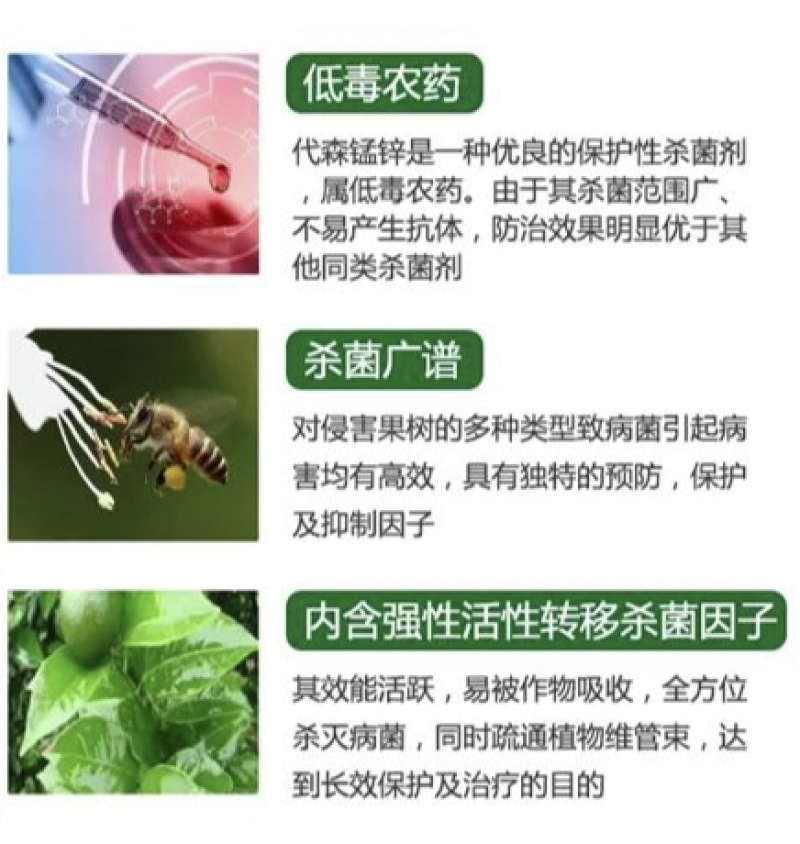 代森锰锌80%早疫病炭疽病叶斑病炭疽病疮痂病斑点落叶病
