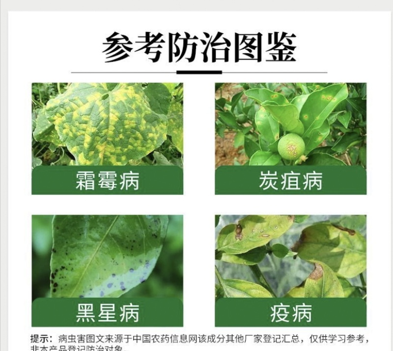 代森锰锌80%早疫病炭疽病叶斑病炭疽病疮痂病斑点落叶病