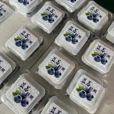 L25蓝莓各种包装蓝莓