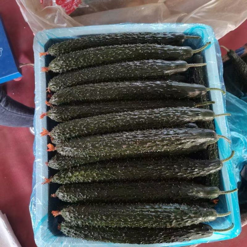 山东精品【密刺黄瓜】，新瓜大量上市，产地直供应商超，电商