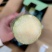 陶山甘蔗整箱