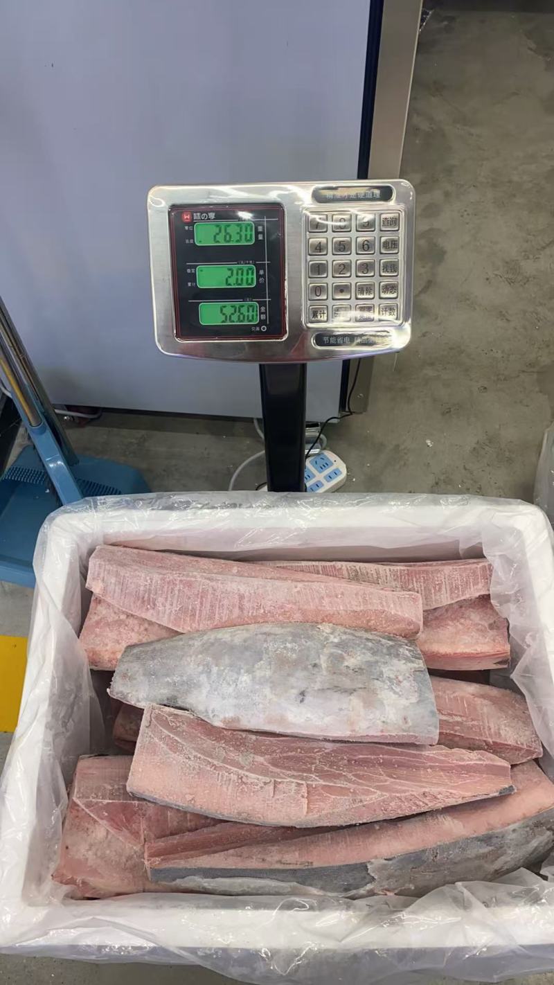 南方蓝鳍金枪鱼（去鳃去内脏）肉质鲜嫩口感细腻营养丰富
