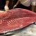 南方蓝鳍金枪鱼（去鳃去内脏）肉质鲜嫩口感细腻营养丰富
