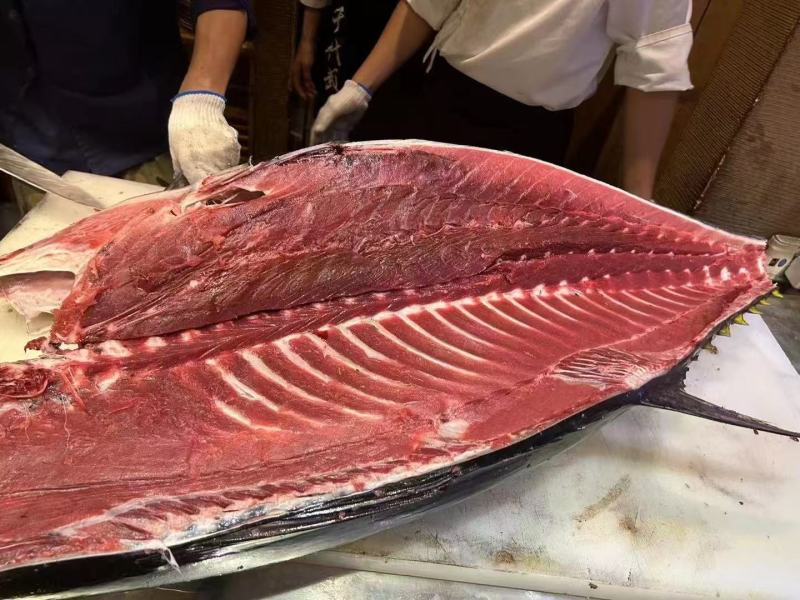 南方蓝鳍金枪鱼（去鳃去内脏）肉质鲜嫩口感细腻营养丰富