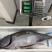 南方蓝鳍金枪鱼（去鳃去内脏）肉质鲜嫩口感细腻营养丰富