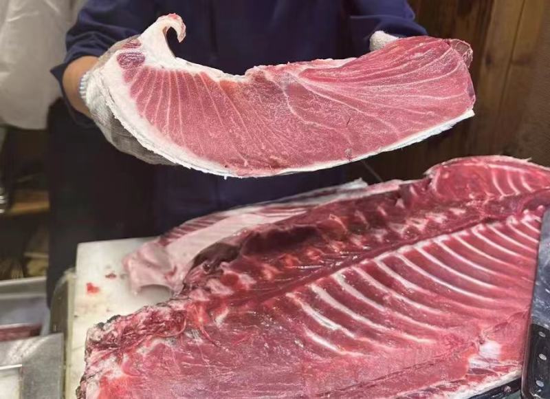 南方蓝鳍金枪鱼（去鳃去内脏）肉质鲜嫩口感细腻营养丰富