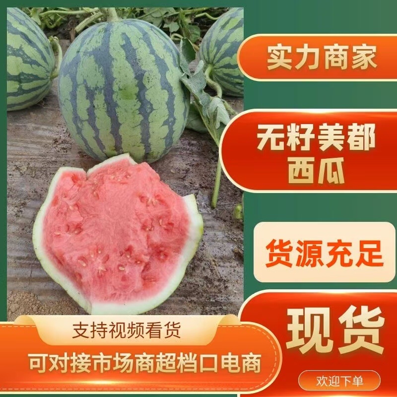 【精品】广东无籽美都西瓜一手货源量大价优可视频看货