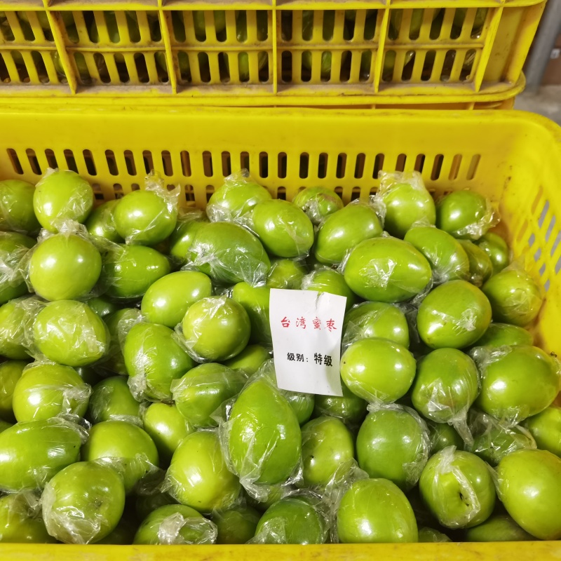 惠州产地大量青枣供应，便宜货靓