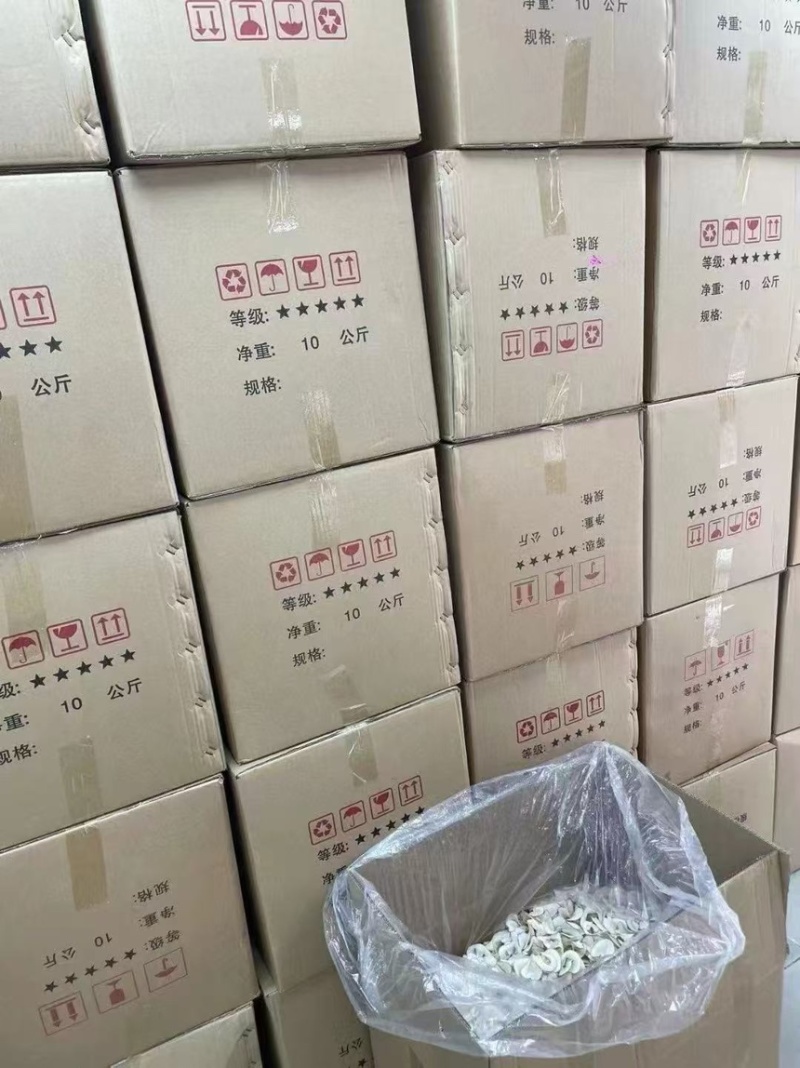 海底椰片，产地直达，一手货源