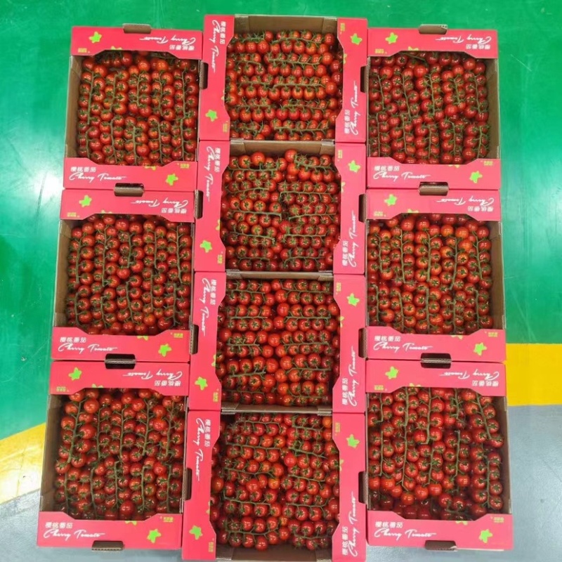 串樱桃小番茄