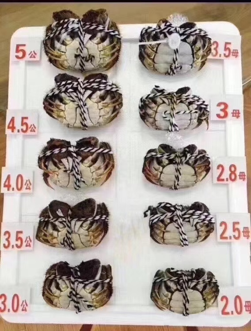 湖北潜江红壳虾小龙虾清水小龙虾全年供应酒店虾庄直供20年