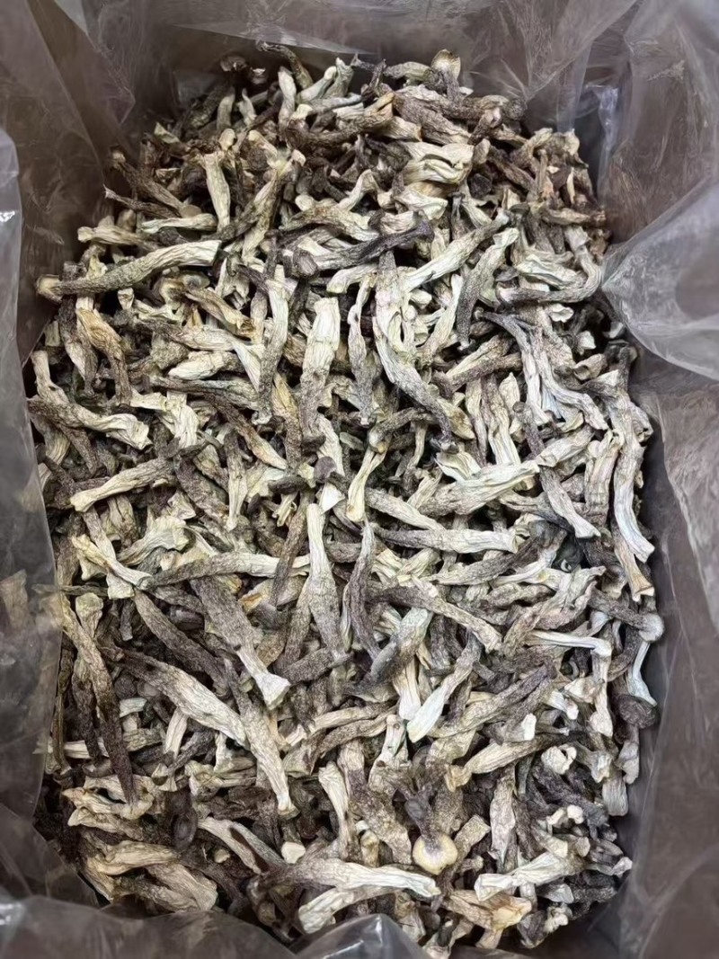 鹿茸菇，产地直达，一手货源，无碎