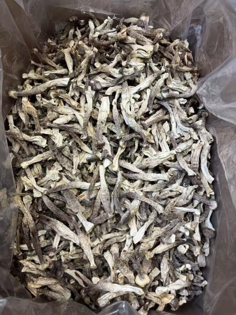 鹿茸菇，产地直达，一手货源，无碎