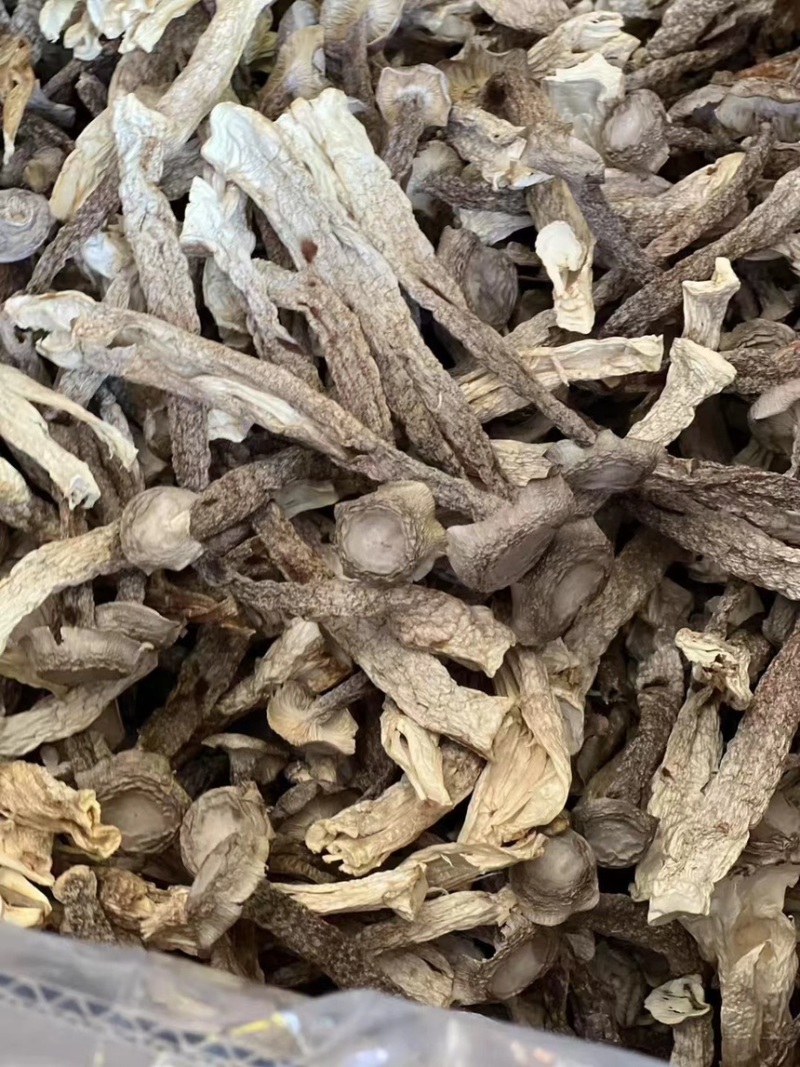 鹿茸菇，产地直达，一手货源，无碎