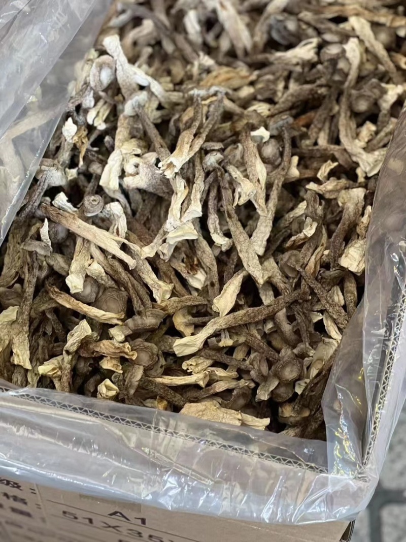 鹿茸菇，产地直达，一手货源，无碎