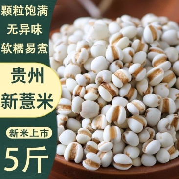 薏米仁新货贵州大薏仁米豆浆赤豆红豆五谷杂粮批发
