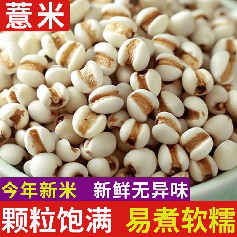 薏米仁新货贵州大薏仁米豆浆赤豆红豆五谷杂粮批发
