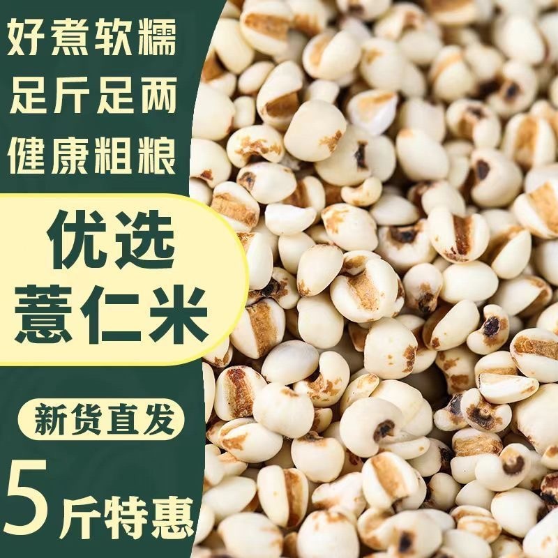 薏米仁新货贵州大薏仁米豆浆赤豆红豆五谷杂粮批发