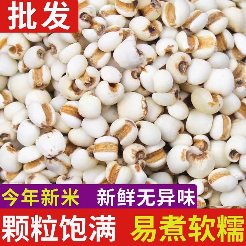 薏米仁新货贵州大薏仁米豆浆赤豆红豆五谷杂粮批发