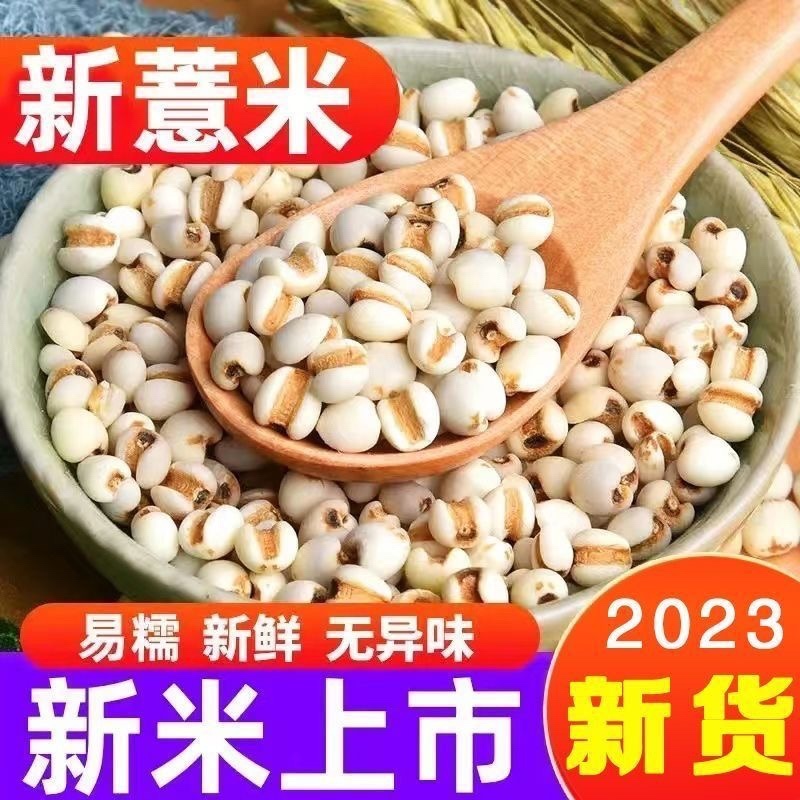 薏米仁新货贵州大薏仁米豆浆赤豆红豆五谷杂粮批发