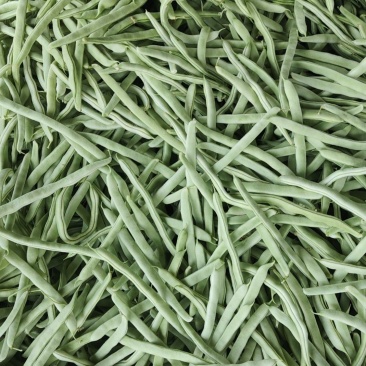 山东菏泽大棚白芸豆大量供应中，欢迎市场，超市，电商，前来