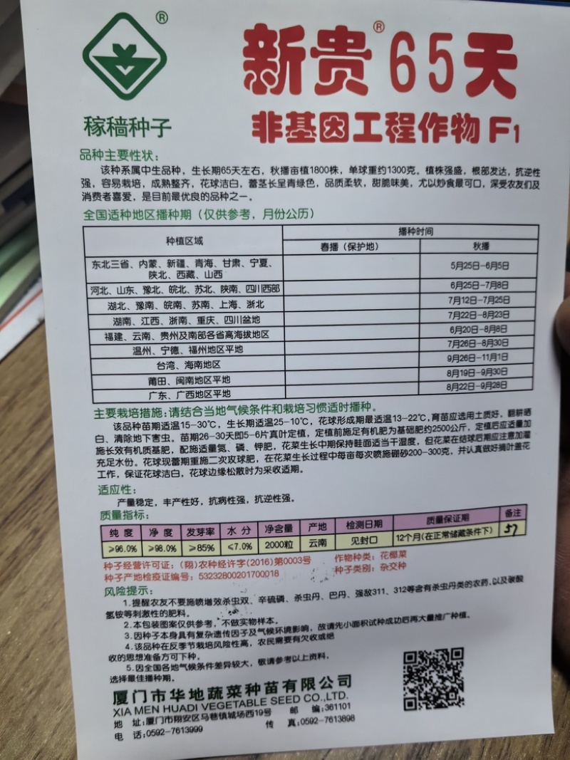 雪松65天松花菜种子秋播单球重三斤左右菜花种子