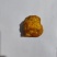 刚从鸡肚取出来的鸡宝