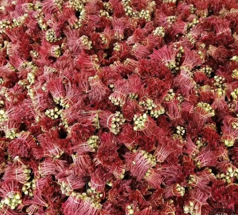 香椿芽