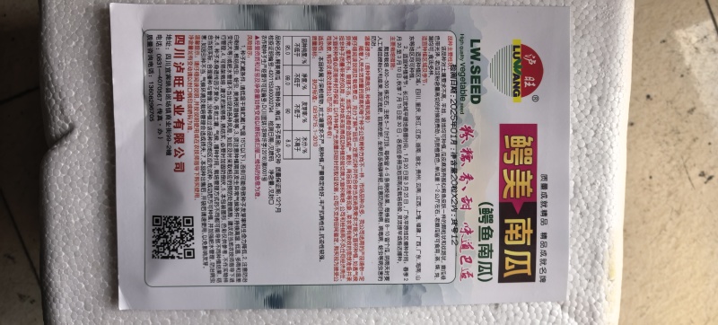 南瓜种子鳄美南瓜香甜糯粉鳄鱼南瓜好种易管理产量高