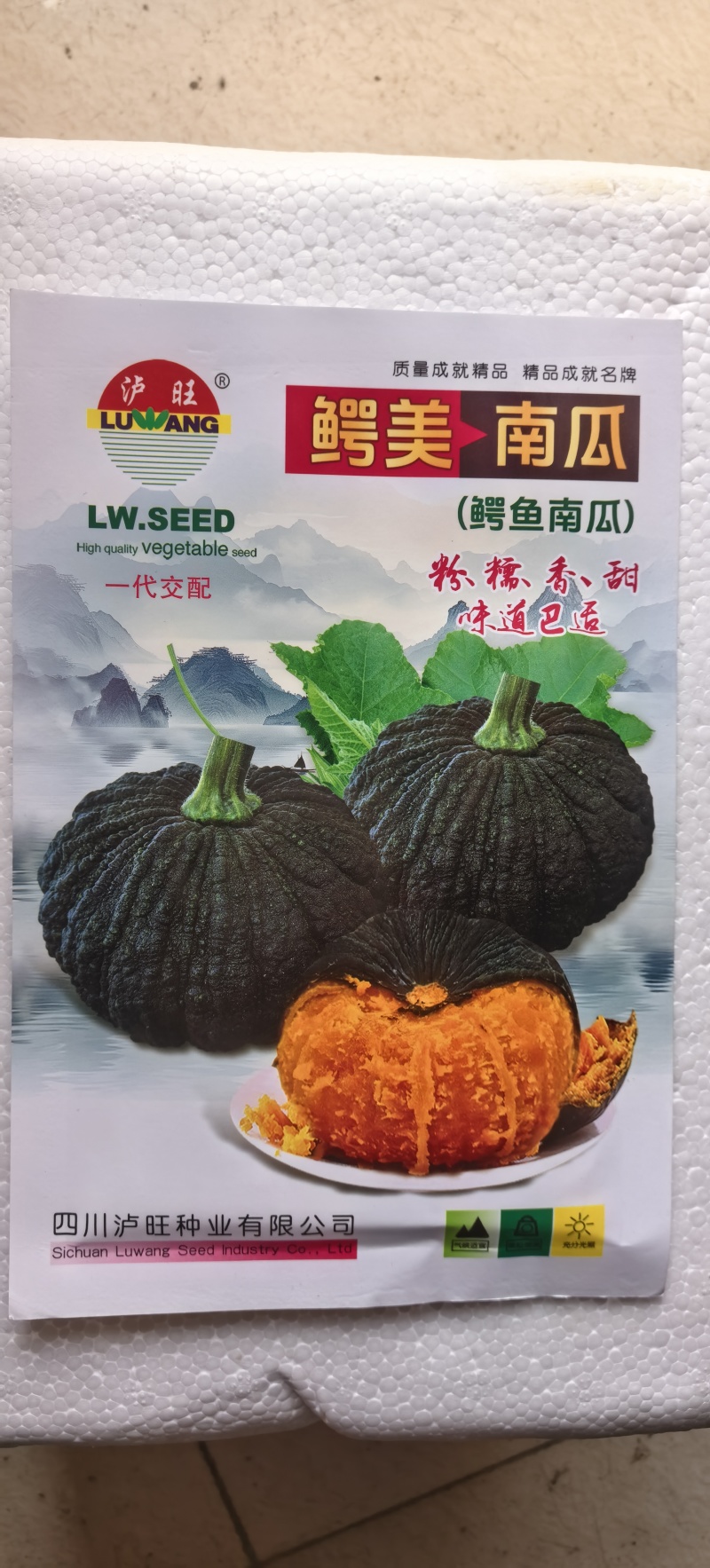 南瓜种子鳄美南瓜香甜糯粉鳄鱼南瓜好种易管理产量高