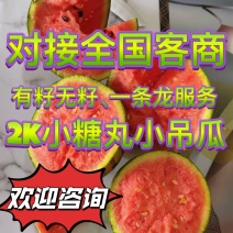 无籽西瓜，山东无籽西瓜，2k小西瓜，小糖丸西瓜，西瓜