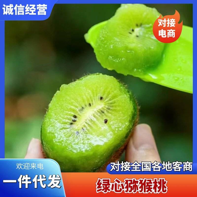 绿心猕猴桃一件代发电商团购整车代发大量供应