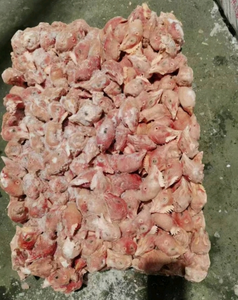 鸡头，肉食鸡头，价格美丽欢迎咨询来电优