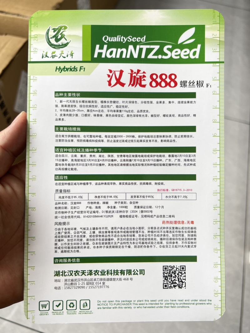 辣椒种子汉旋888//武汉/洪山区直供/可零售批发