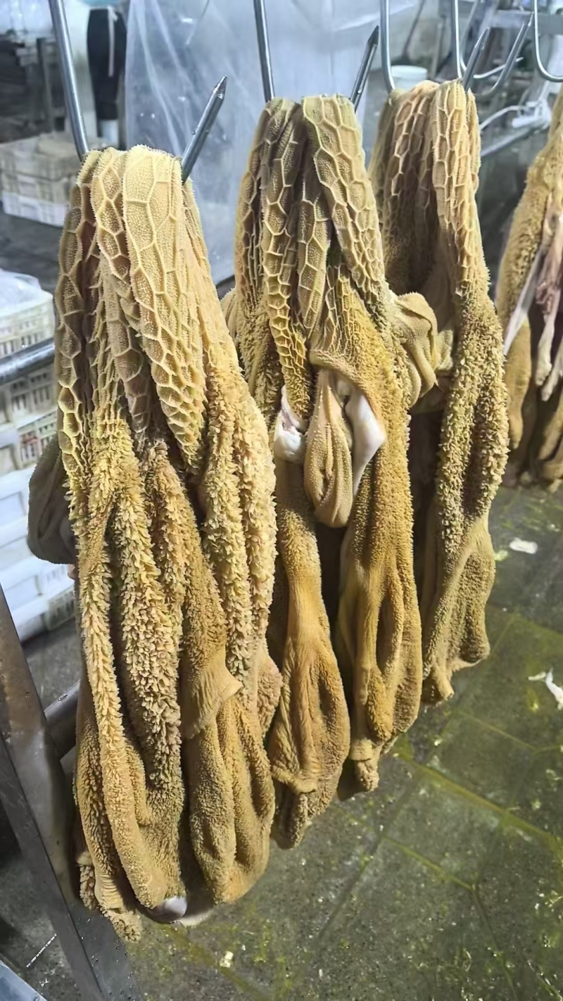 羊毛肚大量现货量大从优欢迎电话联系整个羊肚新鲜