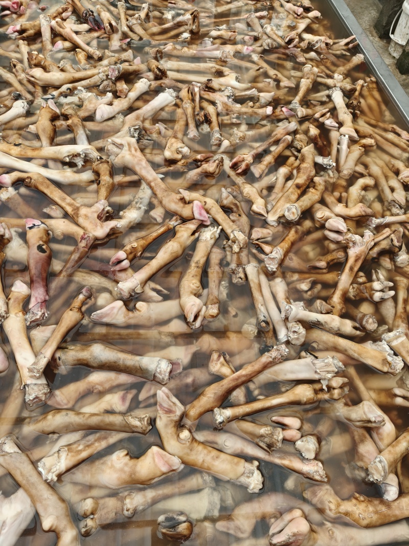 羊毛肚大量现货量大从优欢迎电话联系整个羊肚新鲜