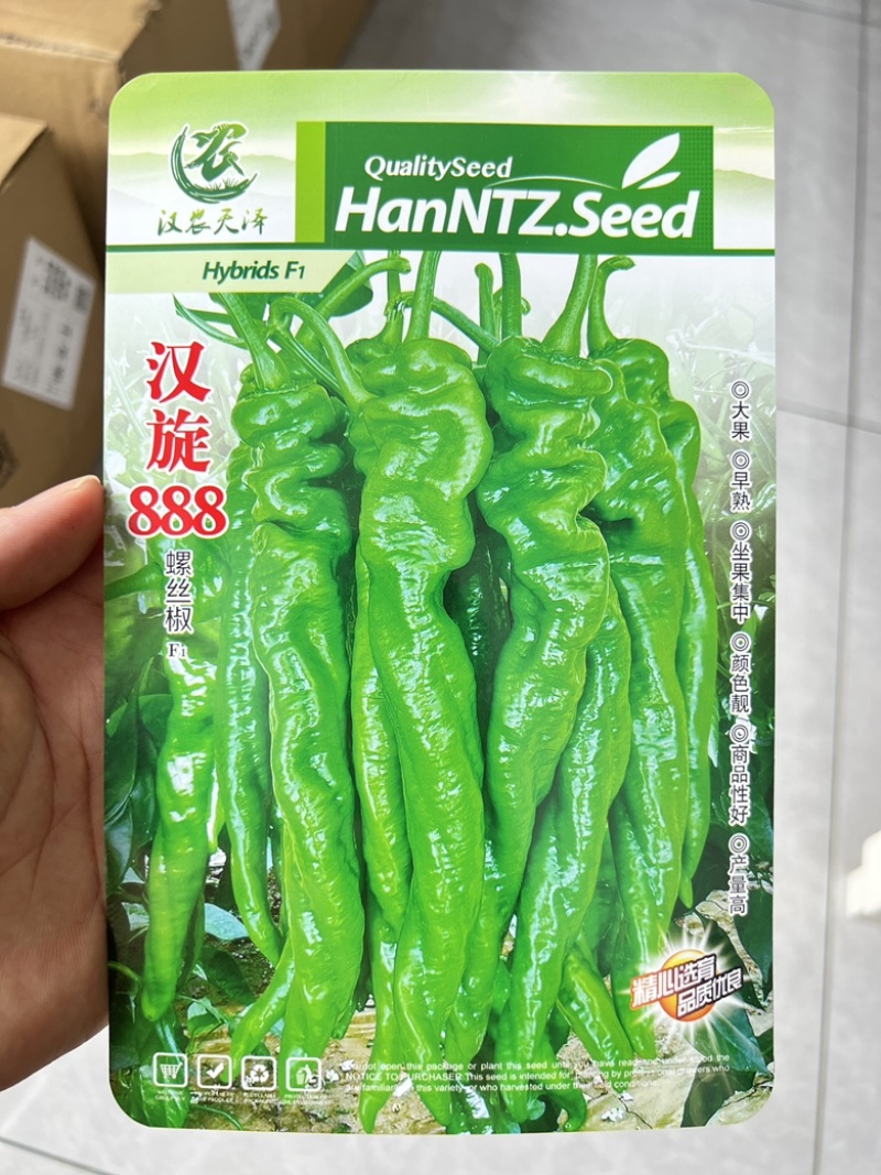 辣椒种子汉旋888//武汉/洪山区直供/可零售批发