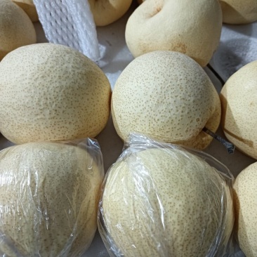王过酥梨